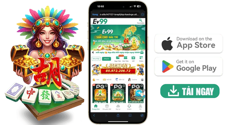 Hướng dẫn nhập mã Q8BET