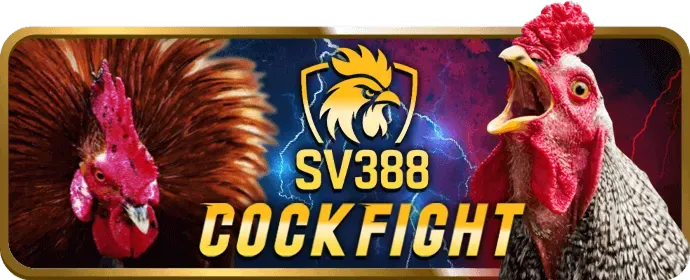 Các phương thức nạp tiền vào q8bet code
