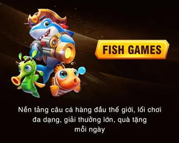 Các tính năng chính của Q8BET Code