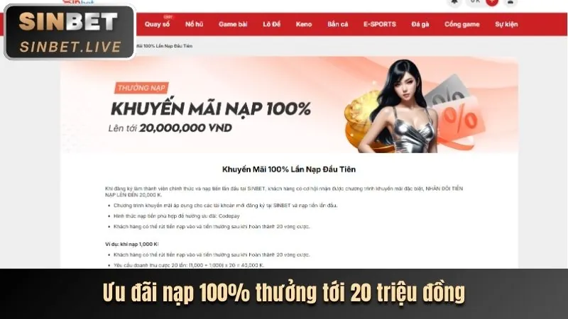 Giao diện nhập mã Q8BET trên nền tảng cá cược